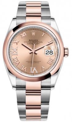 126201 Rose VI IX Roman Oyster