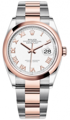 126201 White Roman Oyster