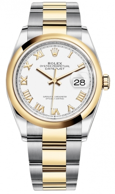 126203 White Roman Oyster