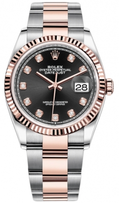 126231 Black Diamond Oyster