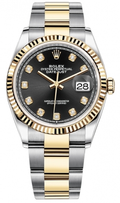 126233 Black Diamond Oyster