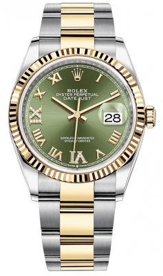 126233 Olive Green VI IX Roman Oyster