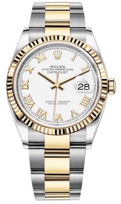 126233 White Roman Oyster