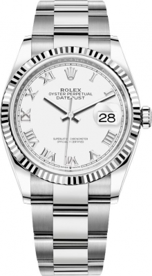 126234 White Roman Oyster