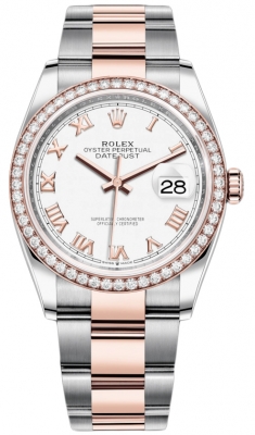 126281RBR White Roman Oyster