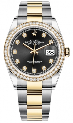 126283RBR Black Diamond Oyster