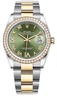 126283RBR Olive Green VI IX Roman Oyster