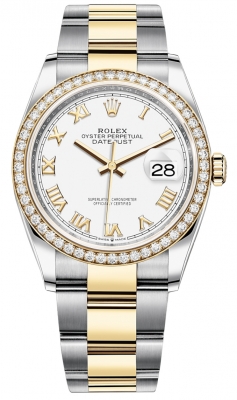 126283RBR White Roman Oyster