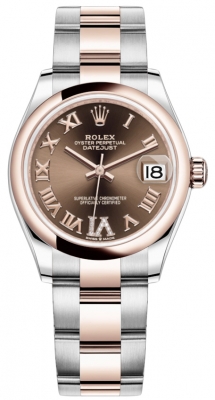278241 Chocolate Roman VI Oyster
