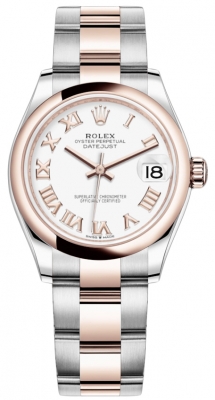 278241 White Roman Oyster
