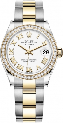 278383rbr White Roman Oyster